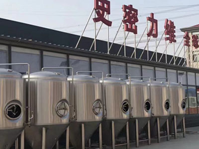 锦屏精酿啤酒设备厂—如何判断精酿啤酒设备的密封件需要更换？